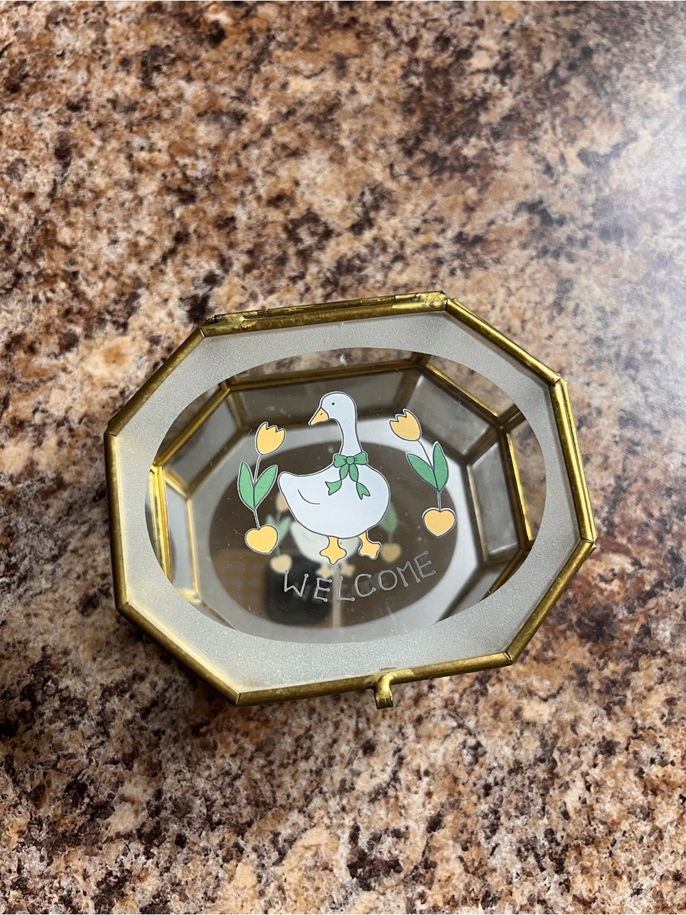 Cottagecore Goose Trinket Box with Brass Frame